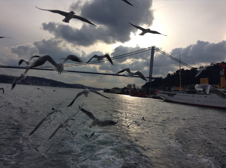 Bosphorus River